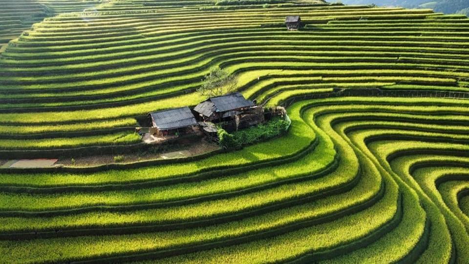 Homestay Hoa Thao - Bus ,Trek & Motorbike Mu Cang Chai Extérieur photo