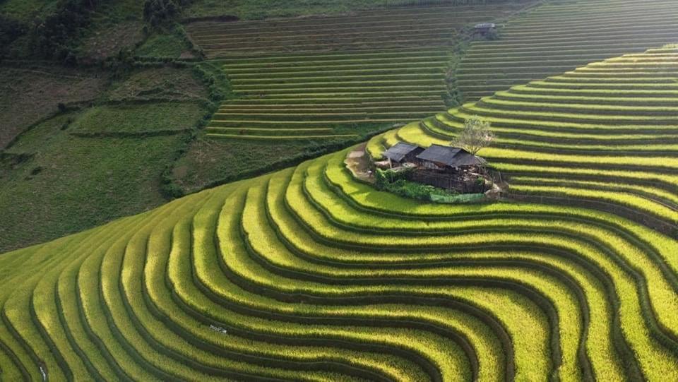 Homestay Hoa Thao - Bus ,Trek & Motorbike Mu Cang Chai Extérieur photo
