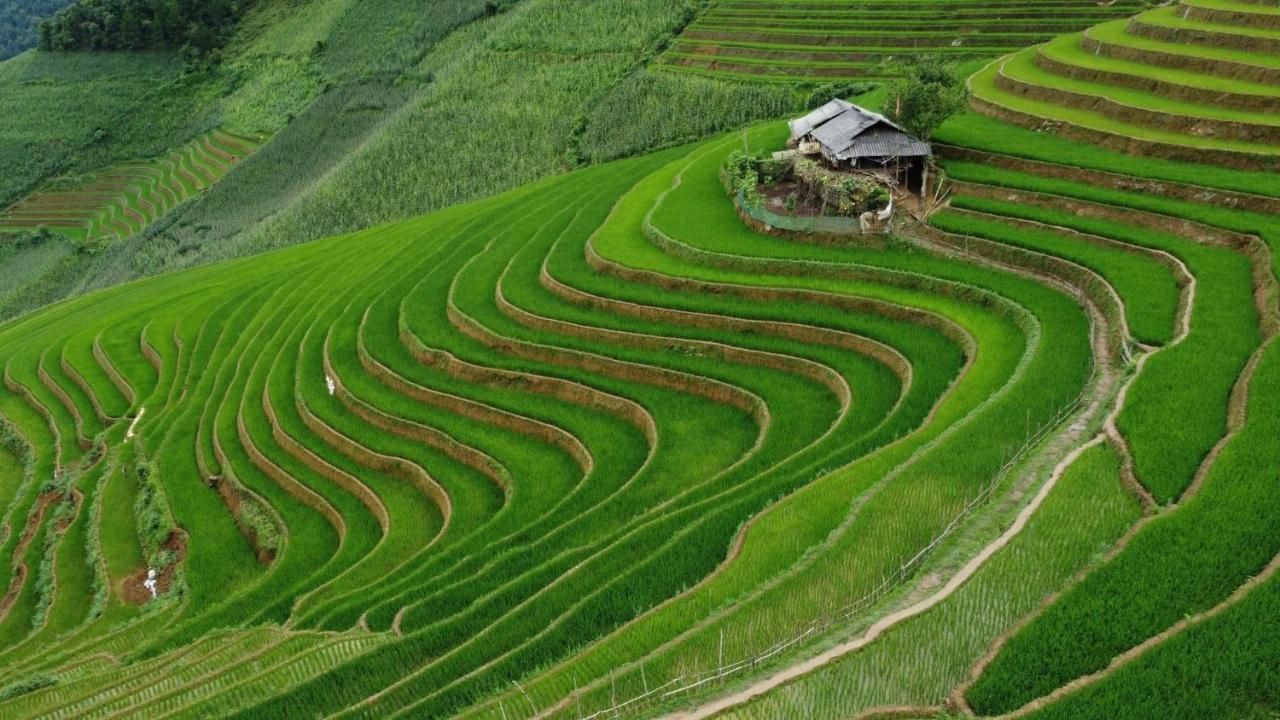 Homestay Hoa Thao - Bus ,Trek & Motorbike Mu Cang Chai Extérieur photo